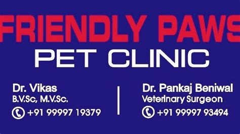 Friendly Paws Pet Clinic